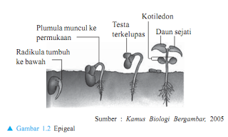 http://4.bp.blogspot.com/-zm5bslhdhqi/vbsaxvouavi/aaaaaaaaave/ugnbk5i0tlk/s320/24.png