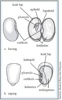 http://2.bp.blogspot.com/-rzbgepg2heo/vbsavxrejqi/aaaaaaaaauw/rgexiidpvze/s320/23.jpg