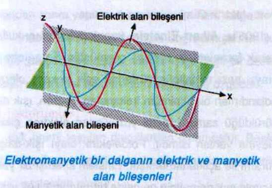 swscan0000200025